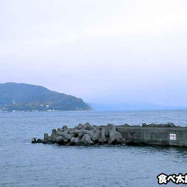 伊東温泉で海鮮グルメの夕食の量が半端ない宿