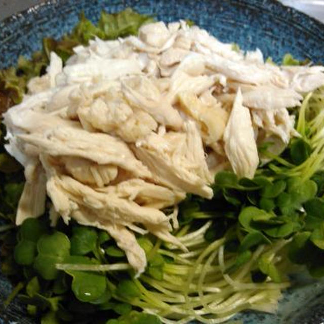 鶏ムネ肉のサラダ、セルフお好みうどん