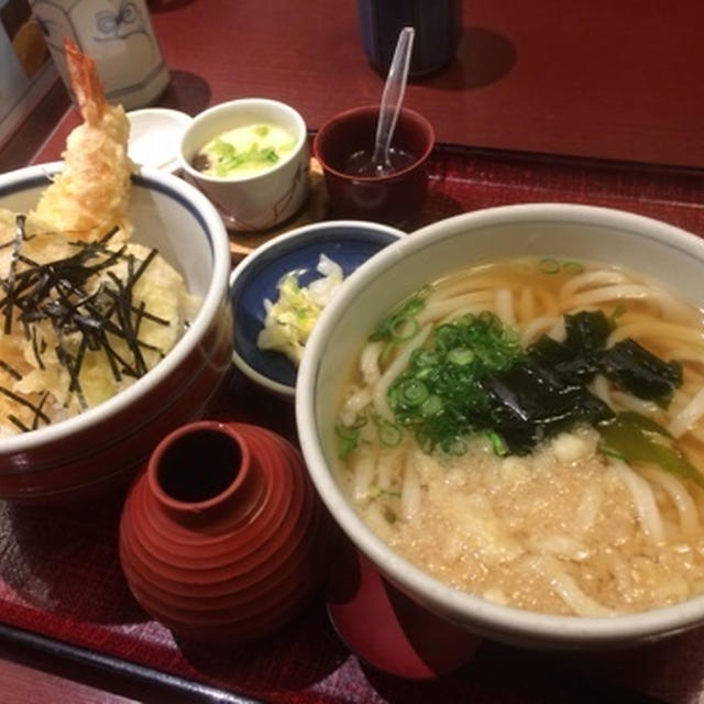 うち大黒うどんから卒業？？？　【大黒屋　道後店】