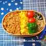 二色ごはんのお弁当