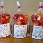 ミニトマト・ミックス　Mixed Cherry Tomatoes