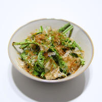 本当は天ぷらにしたかった山菜「こごみのお浸し」苦美味い