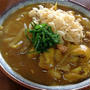 今日の朝麺は「カレーうどん」