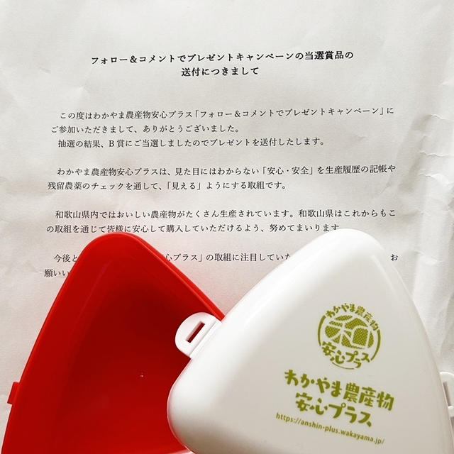 和歌山農産物安心プラス おにぎりケースと和歌山県産梅干し｜今年の梅仕事