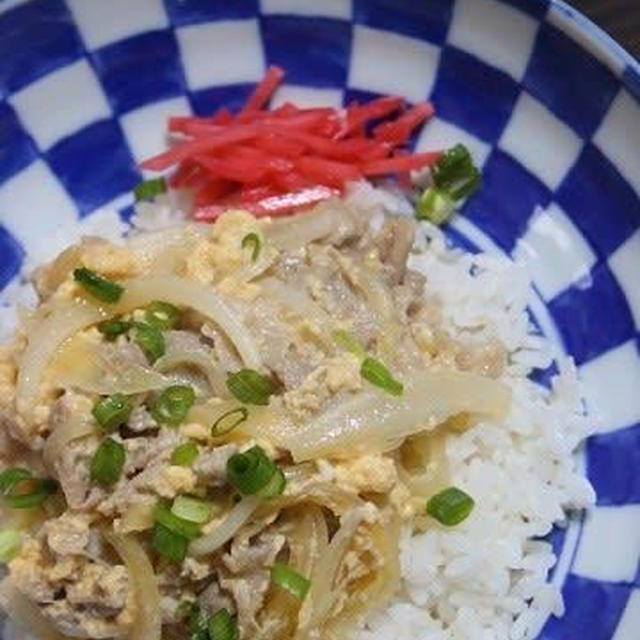 7月4日　　開化丼