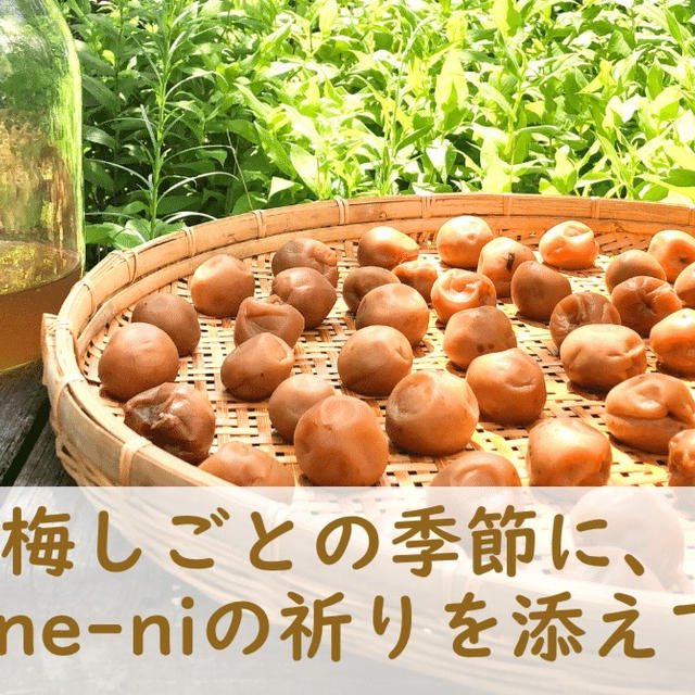 梅しごとの季節に、Kasane-niの祈りを添えて──