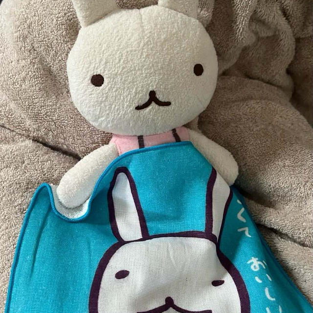 そろそろ秋支度