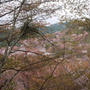 吉野山の桜#お花見の風景