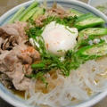 いろいろ具だくさんうどん【美味しさは繰り返す、否応なくね】