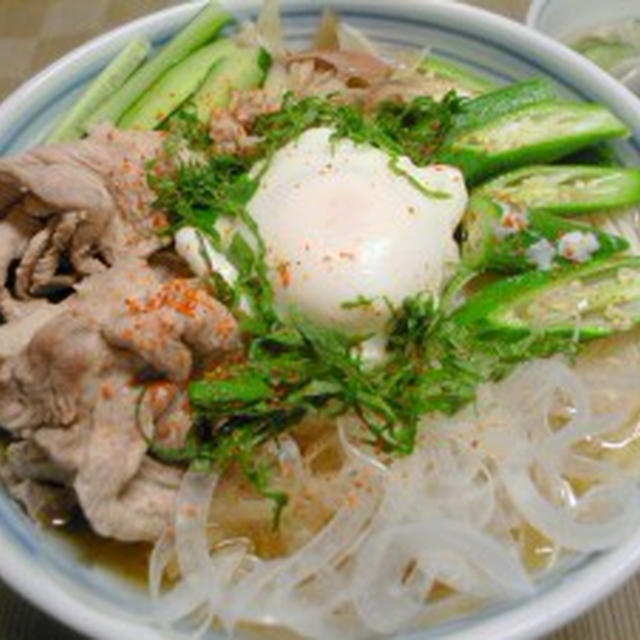 いろいろ具だくさんうどん【美味しさは繰り返す、否応なくね】