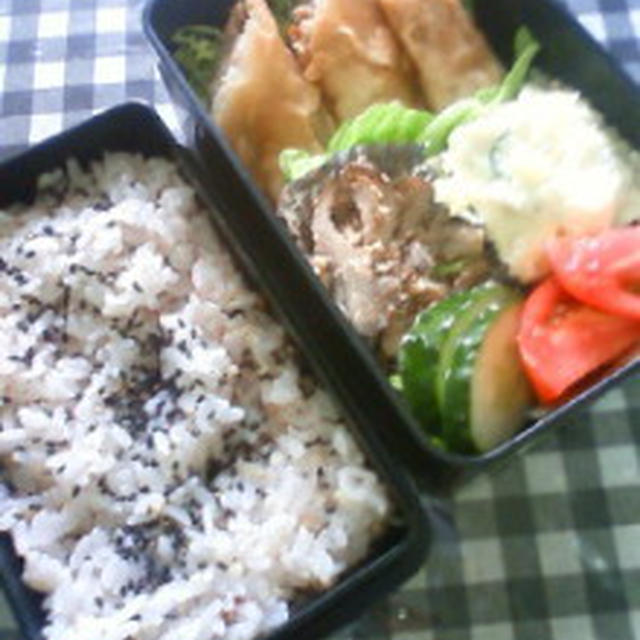 春巻き弁当