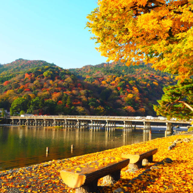 京都旅行2016年11月⑦渡月橋、天龍寺、常寂光寺