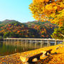 京都旅行2016年11月⑦渡月橋、天龍寺、常寂光寺