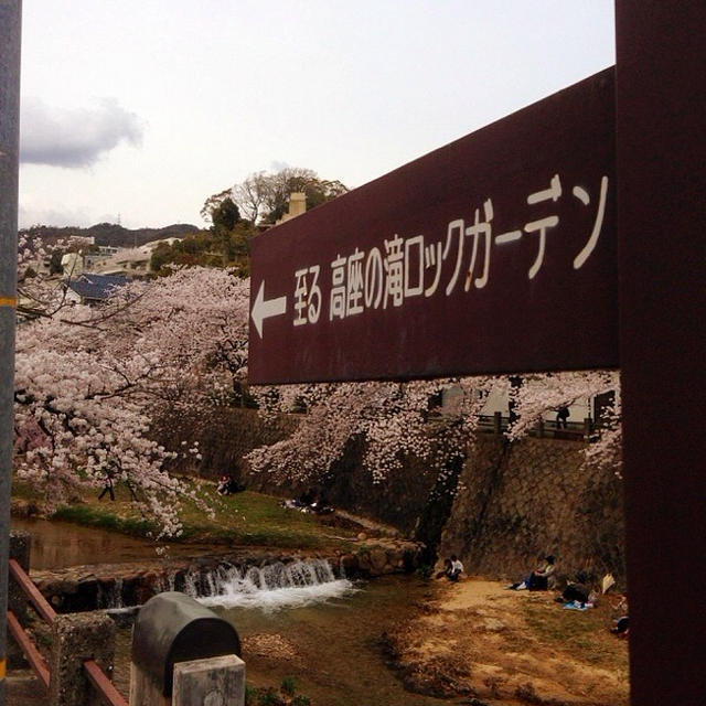 またまた、お久しぶり！・・・の巻！！