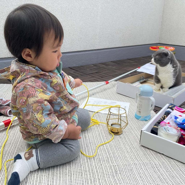 2回目の鯉のぼり