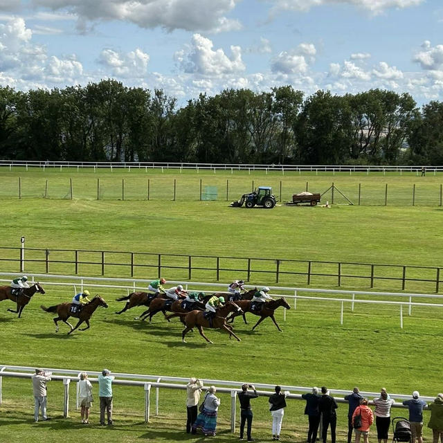 バースでカジュアルに競馬を楽しむ