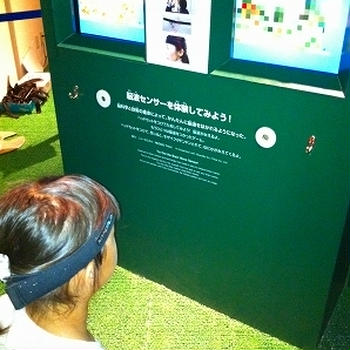 集中