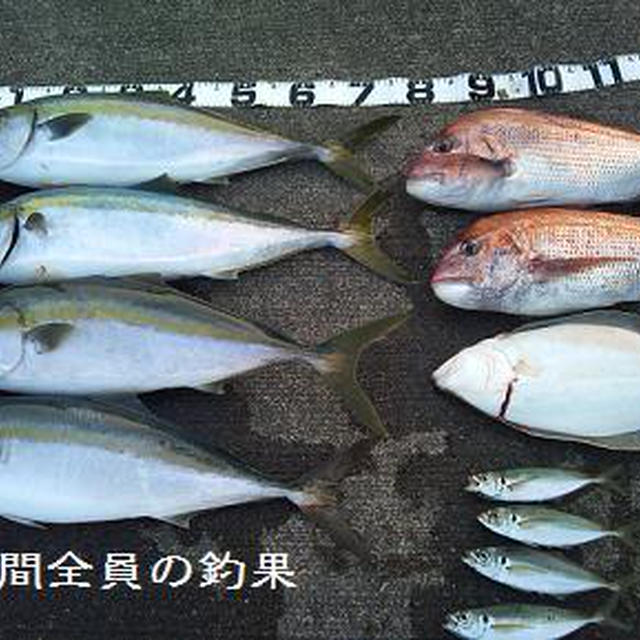 旦那様の釣果【11.07.02】　と今夜のお夕飯
