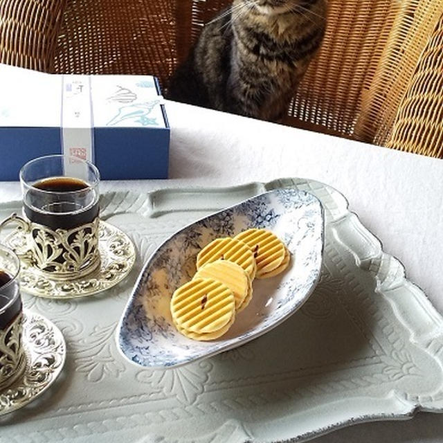 おやつの時間と、今日のにゃんこ♪