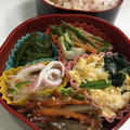 11-18 お野菜尽くしのダンさん弁(笑