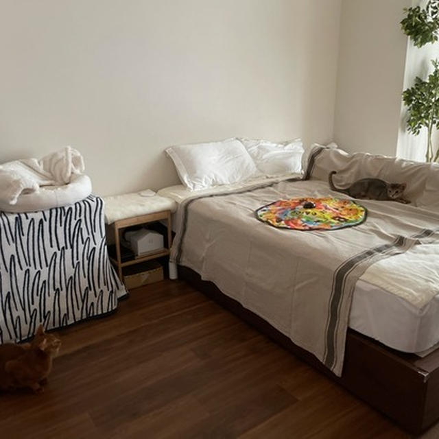 日中の寝室を、ニャンズの遊び部屋にしてみた♪