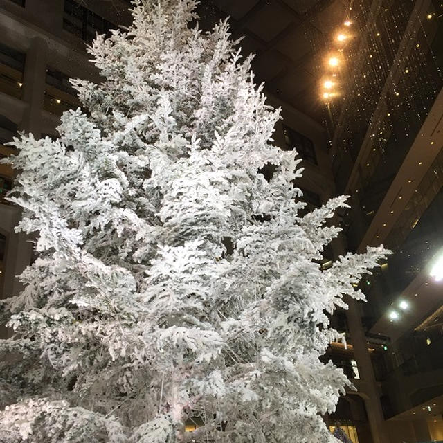 今日のフォトアルバム　動画とか
