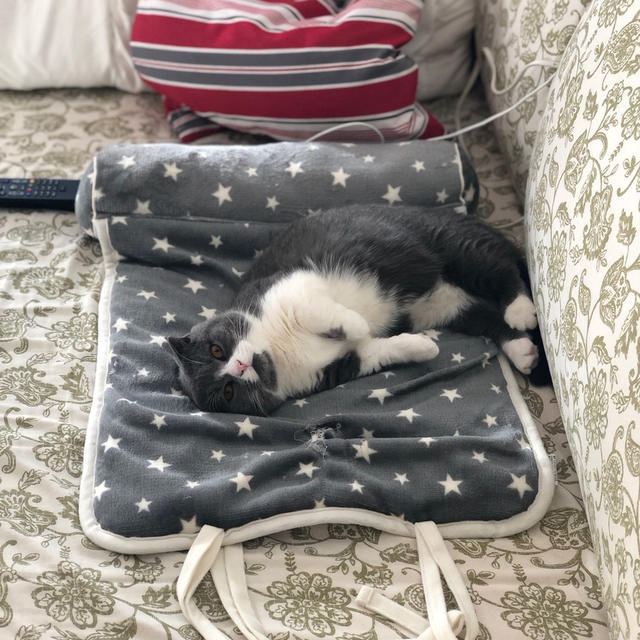 おねだりいくら