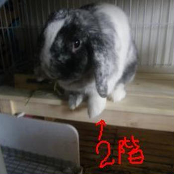 改装中。