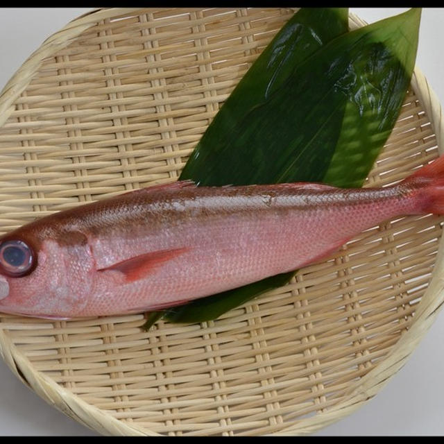 今日の魚 ハチビキ By Wnk Shoさん レシピブログ 料理ブログのレシピ満載