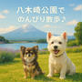 八木崎公園で富士山ビュー散歩！わんこと楽しむ初夏の河口湖