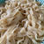 おひるごはん❗️うどん