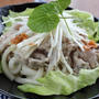 サッパリと美味しい豚しゃぶうどん