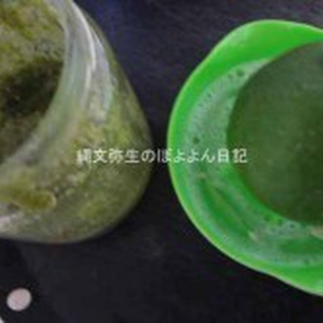 ハーブ料理教室でいただいたハーブを使ったクッキング＆バジルソースのドレッシング