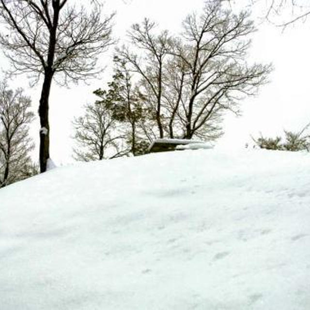 百々ケ峰-芝生広場雪の散策(2013-01-27)