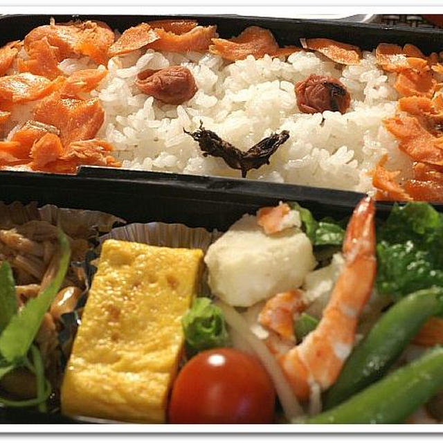 男のキャラ主人弁／地味だから許されたみたいです＾＾