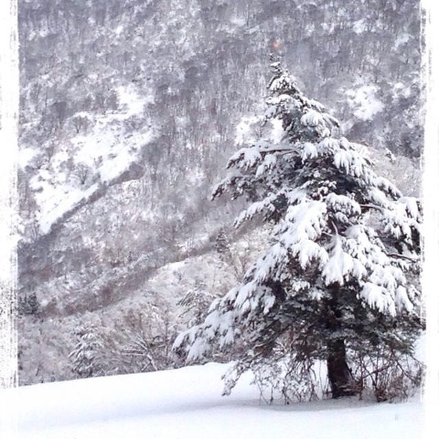 雪山にて
