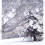 雪山にて