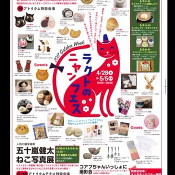 ねこちゃんクッキー作りました