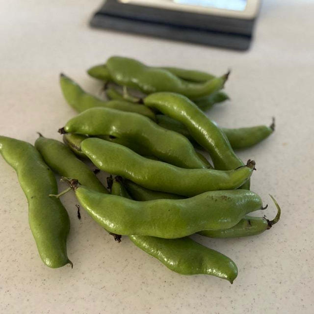 大好きそら豆の食べ方♡オススメの無塩骨取り鯖とドラマと。