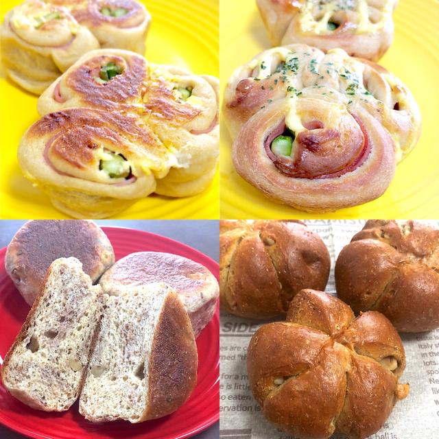 「あの○○カフェでも虜になったパン」も登場！和のパンも嬉しい4月のレッスンのご案内