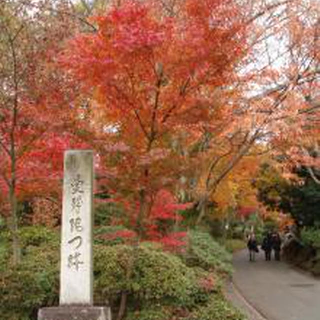☆京都の旅：曼殊院?実相院?岩倉邸☆