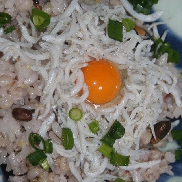 4月8日　　しらす丼