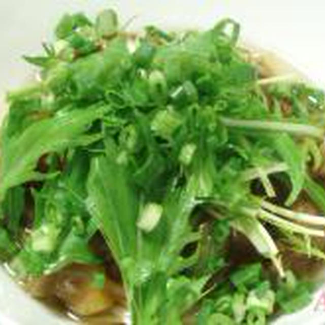 ☆ネギたっぷり、風邪予防のカレーうどん☆