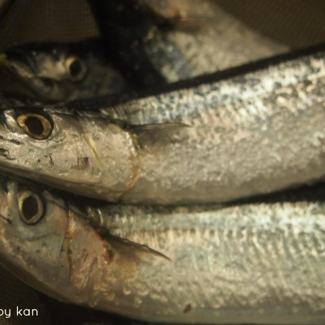 秋刀魚のコンフィ♪