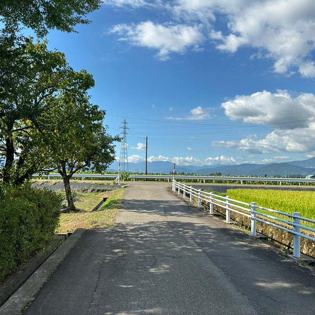 福井にいます