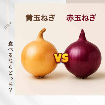 玉ねぎは「最強の常備野菜」