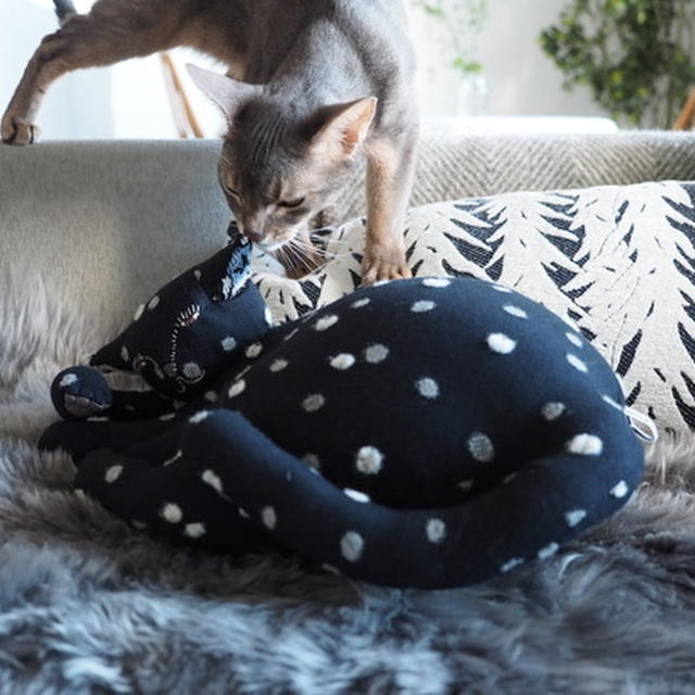 minä perhonenに猫ちゃんがいた！