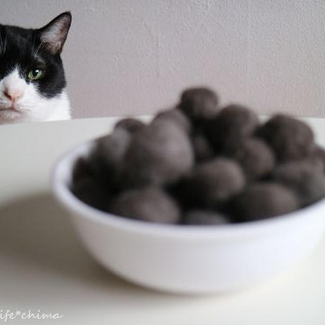 今日の毛玉～猫のブラッシング