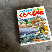 その概念がなかったから衝撃！！の、話。