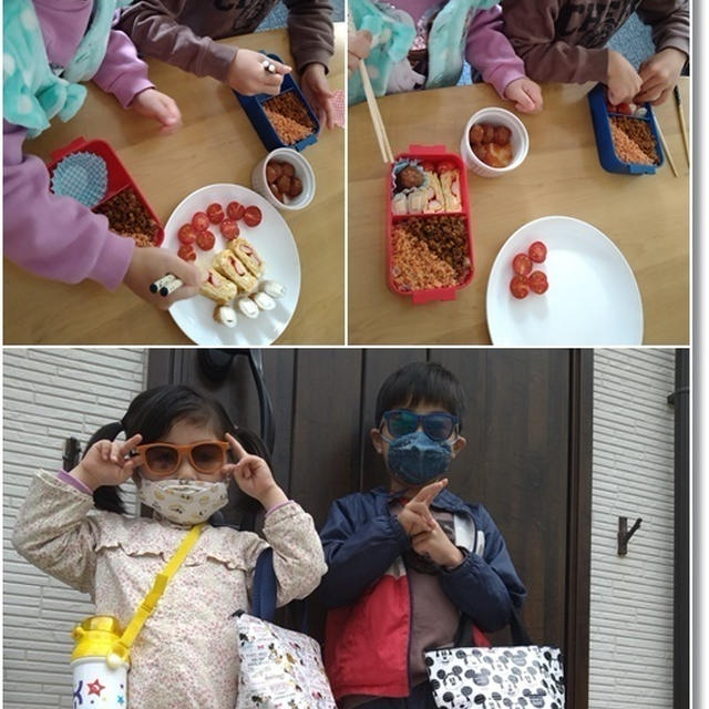 【ダイソー】200円商品の箸付き弁当箱は…桜の背景で入学式の前撮り場所でお花見♪